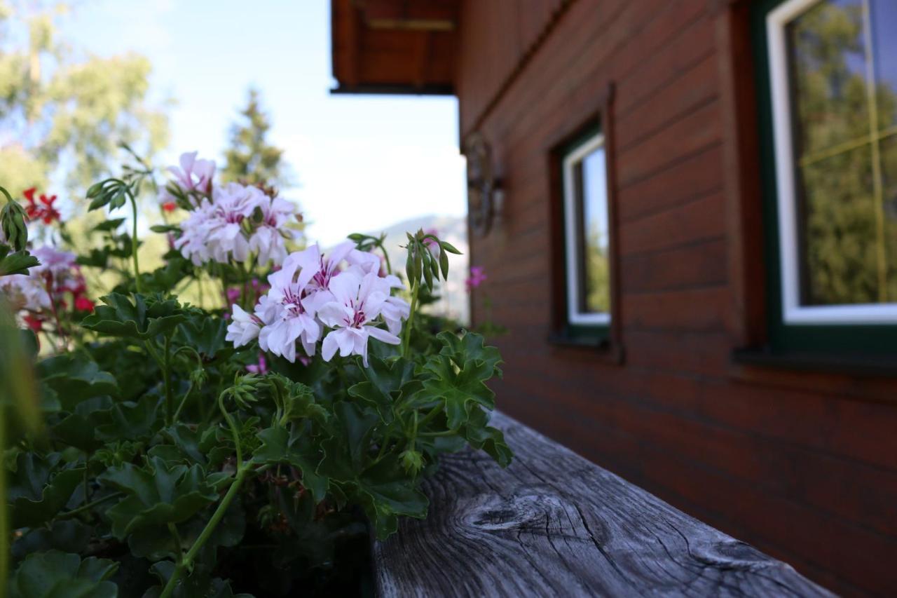 Ferienhaus Am Muehlbach Gams bei Hieflau Kültér fotó